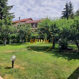 Vila cu gradina superba si piscina, langa padure, acum la vanzare